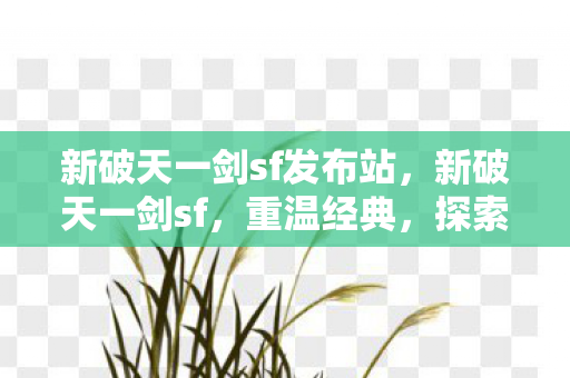 新破天一剑sf发布站,新破天一剑sf,重温经典,探索未知 新破天一剑sf发布站,新破天一剑sf,重温经典,探索未知
