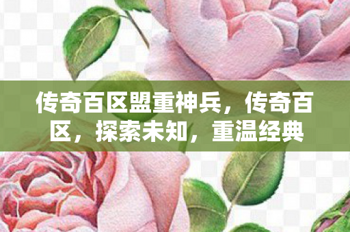 传奇百区盟重神兵,传奇百区,探索未知,重温经典 传奇百区盟重神兵,传奇百区,探索未知,重温经典