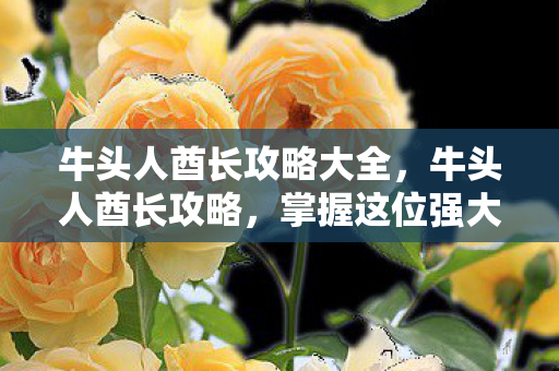 牛头人酋长攻略大全,牛头人酋长攻略,掌握这位强大战士的精髓 牛头人酋长攻略大全,牛头人酋长攻略,掌握这位强大战士的精髓