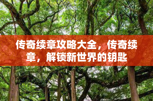 传奇续章攻略大全，传奇续章，解锁新世界的钥匙