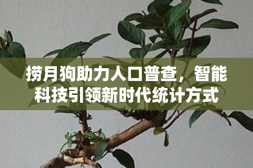 捞月狗助力人口普查,智能科技引领新时代统计方式 捞月狗助力人口普查,智能科技引领新时代统计方式