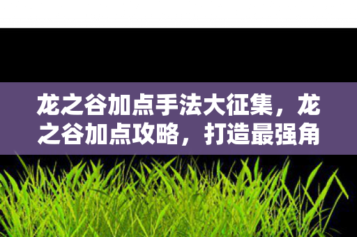 龙之谷加点手法大征集,龙之谷加点攻略,打造最强角色 龙之谷加点手法大征集,龙之谷加点攻略,打造最强角色