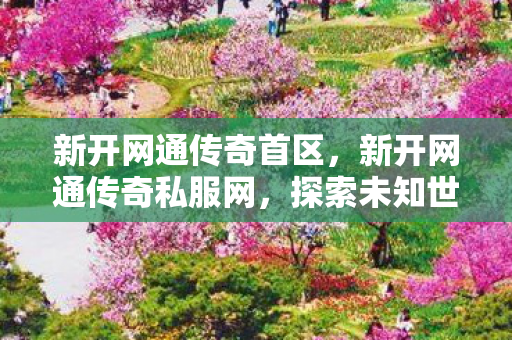 新开网通传奇首区,新开网通传奇私服网,探索未知世界的奇妙之旅 新开网通传奇首区,新开网通传奇私服网,探索未知世界的奇妙之旅
