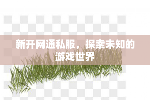 新开网通私服,探索未知的游戏世界 新开网通私服,探索未知的游戏世界