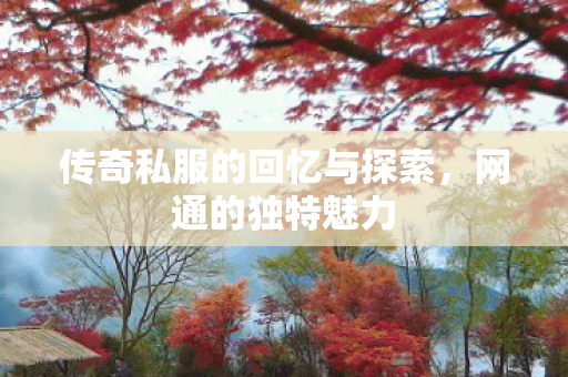 传奇私服的回忆与探索,网通的独特魅力 传奇私服的回忆与探索,网通的独特魅力