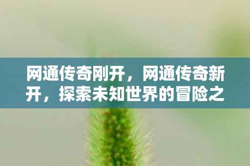 网通传奇刚开,网通传奇新开,探索未知世界的冒险之旅 网通传奇刚开,网通传奇新开,探索未知世界的冒险之旅