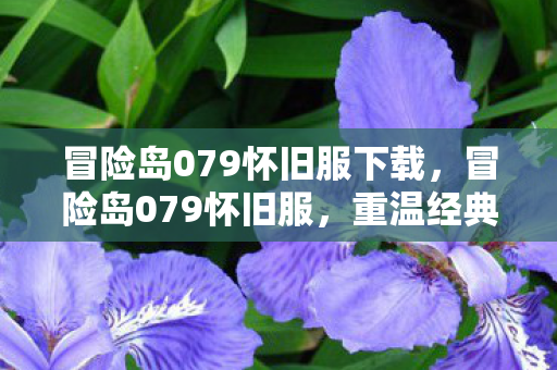 冒险岛079怀旧服下载,冒险岛079怀旧服,重温经典,找回那些逝去的时光 冒险岛079怀旧服下载,冒险岛079怀旧服,重温经典,找回那些逝去的时光