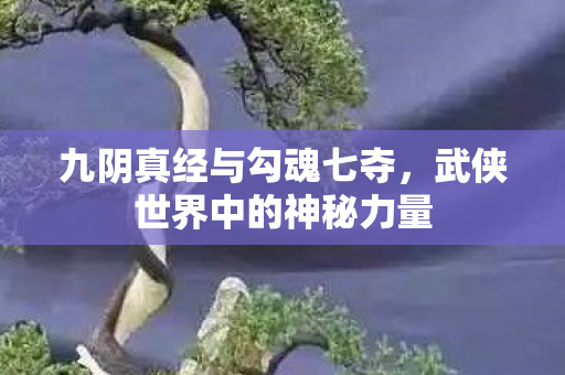 九阴真经与勾魂七夺,武侠世界中的神秘力量 九阴真经与勾魂七夺,武侠世界中的神秘力量