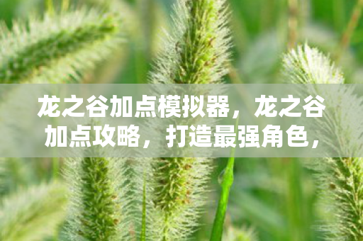 龙之谷加点模拟器,龙之谷加点攻略,打造最强角色,征服魔幻世界 龙之谷加点模拟器,龙之谷加点攻略,打造最强角色,征服魔幻世界