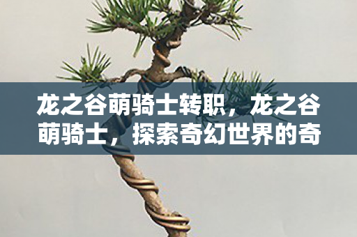 龙之谷萌骑士转职,龙之谷萌骑士,探索奇幻世界的奇妙之旅 龙之谷萌骑士转职,龙之谷萌骑士,探索奇幻世界的奇妙之旅