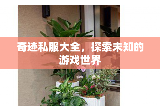 奇迹私服大全,探索未知的游戏世界 奇迹私服大全,探索未知的游戏世界