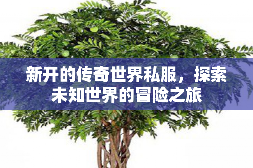 新开的传奇世界私服,探索未知世界的冒险之旅 新开的传奇世界私服,探索未知世界的冒险之旅