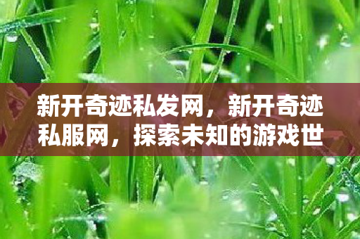 新开奇迹私发网，新开奇迹私服网，探索未知的游戏世界