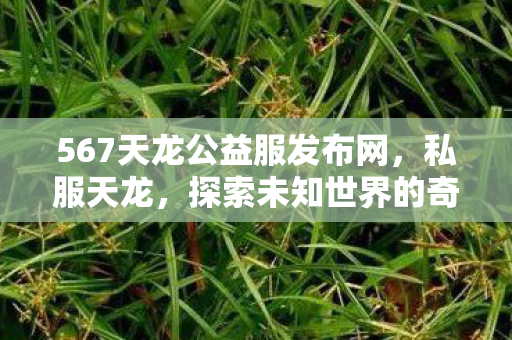 567天龙公益服发布网，私服天龙，探索未知世界的奇幻之旅