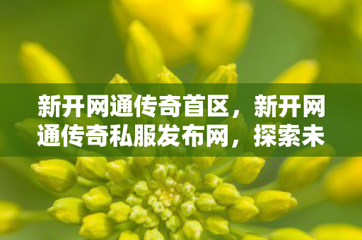 新开网通传奇首区,新开网通传奇私服发布网,探索未知的游戏世界 新开网通传奇首区,新开网通传奇私服发布网,探索未知的游戏世界