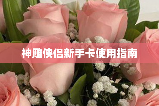 神雕侠侣新手卡使用指南 神雕侠侣新手卡使用指南