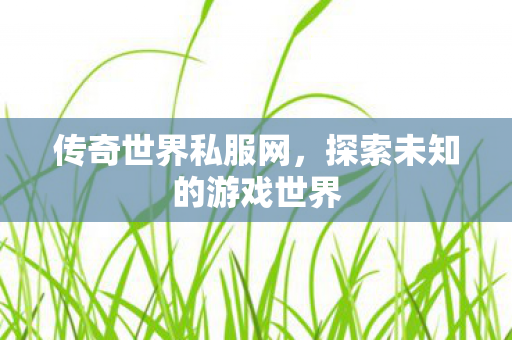 传奇世界私服网，探索未知的游戏世界