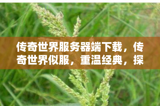 传奇世界服务器端下载,传奇世界似服,重温经典,探索未知 传奇世界服务器端下载,传奇世界似服,重温经典,探索未知
