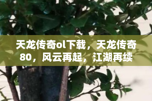 天龙传奇ol下载,天龙传奇80,风云再起,江湖再续 天龙传奇ol下载,天龙传奇80,风云再起,江湖再续