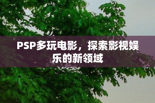 PSP多玩电影,探索影视娱乐的新领域 PSP多玩电影,探索影视娱乐的新领域