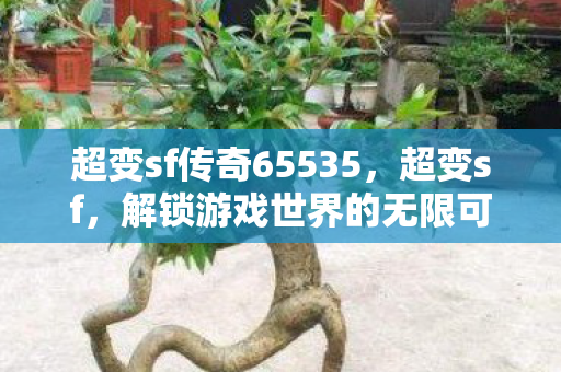 超变sf传奇65535，超变sf，解锁游戏世界的无限可能