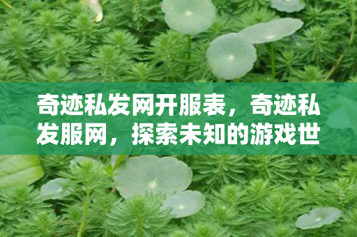 奇迹私发网开服表，奇迹私发服网，探索未知的游戏世界