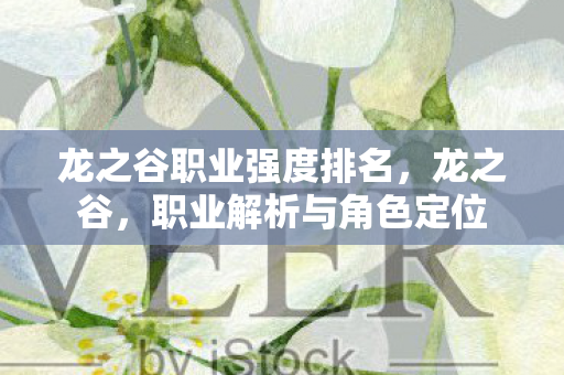 龙之谷职业强度排名,龙之谷,职业解析与角色定位 龙之谷职业强度排名,龙之谷,职业解析与角色定位