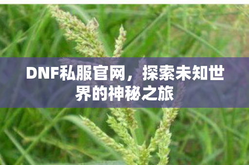 DNF私服官网,探索未知世界的神秘之旅 DNF私服官网,探索未知世界的神秘之旅