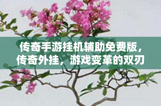 传奇手游挂机辅助免费版，传奇外挂，游戏变革的双刃剑