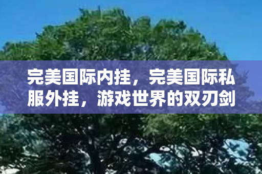完美国际内挂，完美国际私服外挂，游戏世界的双刃剑