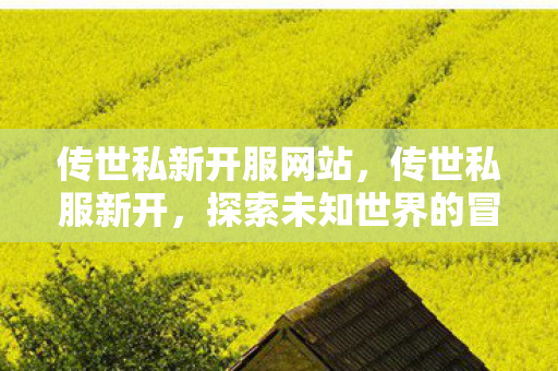 传世私新开服网站,传世私服新开,探索未知世界的冒险之旅 传世私新开服网站,传世私服新开,探索未知世界的冒险之旅