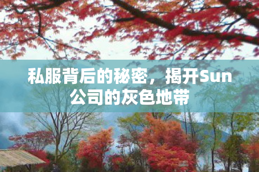 私服背后的秘密,揭开Sun公司的灰色地带 私服背后的秘密,揭开Sun公司的灰色地带