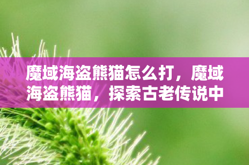 魔域海盗熊猫怎么打,魔域海盗熊猫,探索古老传说中的神秘生物 魔域海盗熊猫怎么打,魔域海盗熊猫,探索古老传说中的神秘生物