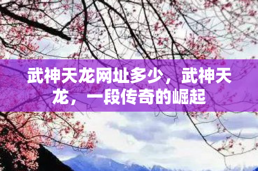 武神天龙网址多少,武神天龙,一段传奇的崛起 武神天龙网址多少,武神天龙,一段传奇的崛起
