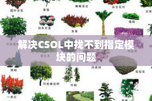 解决CSOL中找不到指定模块的问题