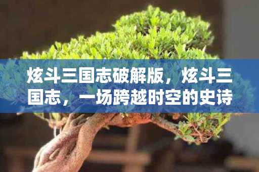 炫斗三国志破解版，炫斗三国志，一场跨越时空的史诗战役