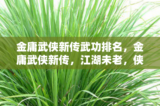 金庸武侠新传武功排名，金庸武侠新传，江湖未老，侠义永存