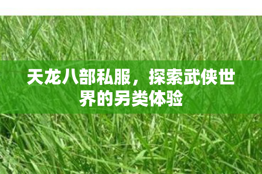 天龙八部私服,探索武侠世界的另类体验 天龙八部私服,探索武侠世界的另类体验