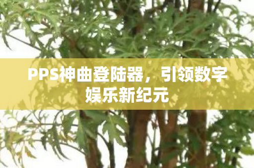 PPS神曲登陆器,引领数字娱乐新纪元 PPS神曲登陆器,引领数字娱乐新纪元