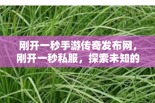 刚开一秒手游传奇发布网,刚开一秒私服,探索未知的游戏世界 刚开一秒手游传奇发布网,刚开一秒私服,探索未知的游戏世界