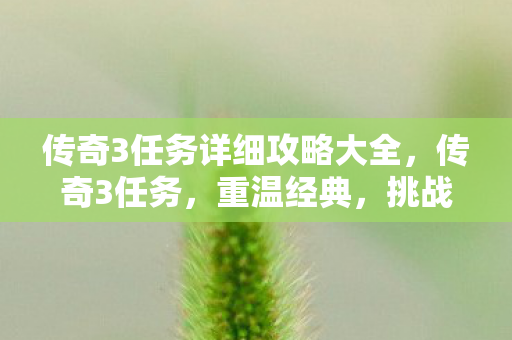 传奇3任务详细攻略大全,传奇3任务,重温经典,挑战自我 传奇3任务详细攻略大全,传奇3任务,重温经典,挑战自我