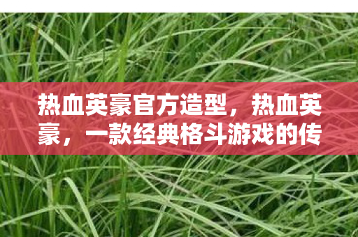 热血英豪官方造型，热血英豪，一款经典格斗游戏的传奇之路