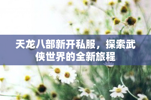 天龙八部新开私服，探索武侠世界的全新旅程