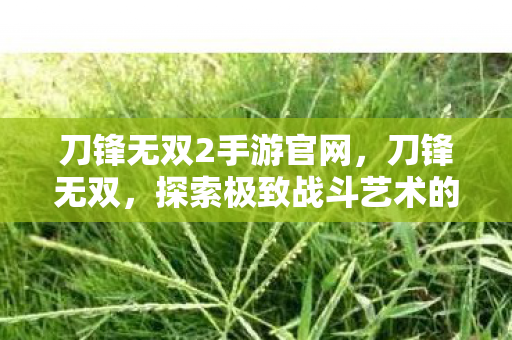 刀锋无双2手游官网,刀锋无双,探索极致战斗艺术的旅程 刀锋无双2手游官网,刀锋无双,探索极致战斗艺术的旅程