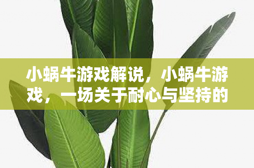小蜗牛游戏解说,小蜗牛游戏,一场关于耐心与坚持的奇妙冒险 小蜗牛游戏解说,小蜗牛游戏,一场关于耐心与坚持的奇妙冒险
