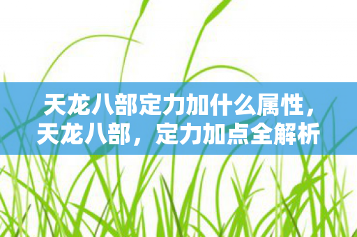 天龙八部定力加什么属性,天龙八部,定力加点全解析 天龙八部定力加什么属性,天龙八部,定力加点全解析
