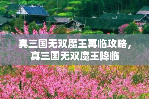 真三国无双魔王再临攻略,真三国无双魔王降临 真三国无双魔王再临攻略,真三国无双魔王降临