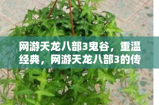 网游天龙八部3鬼谷,重温经典,网游天龙八部3的传奇故事与情怀 网游天龙八部3鬼谷,重温经典,网游天龙八部3的传奇故事与情怀