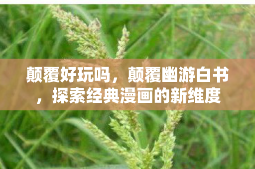 颠覆好玩吗，颠覆幽游白书，探索经典漫画的新维度
