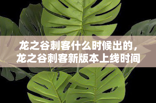 龙之谷刺客什么时候出的,龙之谷刺客新版本上线时间预测与分析 龙之谷刺客什么时候出的,龙之谷刺客新版本上线时间预测与分析